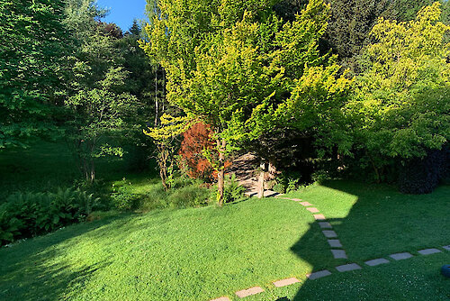 Urlaub mit Hund in Frauenau Bayerrischer Wald